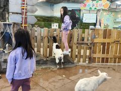 -正佳雨林生态植物园