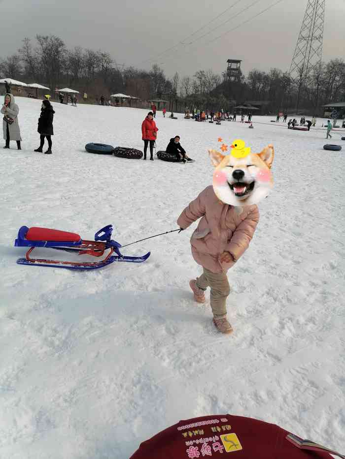 雁鸣蟹岛滑雪场门票图片