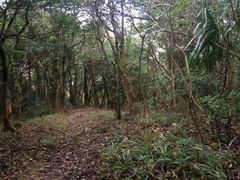 -普陀山风景区-佛顶山