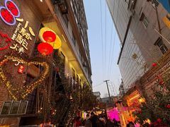 -福苗小骆驼烧烤(莲湖路店)
