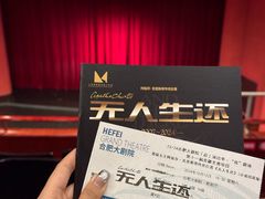 -合肥大剧院