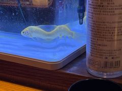 -甲丁酒肆·精酿·碳烤烧鸟