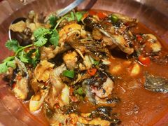 -洞庭家宴·头牌甲鱼(广渠门店)