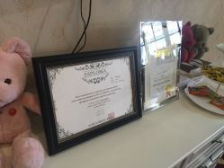 -素颜秀·纹眉·野生眉·纹唇半永久