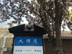 -天津五大道文化旅游区