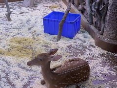 -正佳雨林生态植物园