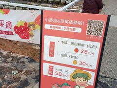 -长洲岛都市农业公园