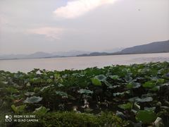 -湖畔居茶楼(湖滨店)