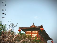 -西安青龙寺遗址景区
