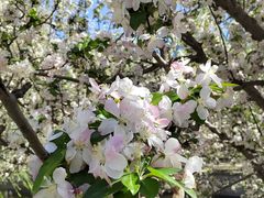 -元大都城垣遗址公园