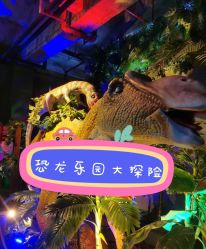 -恐龙探索乐园(磁器口店)