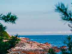 -广东惠东海龟国家级自然保护区