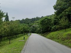 -苏州上方山国家森林公园