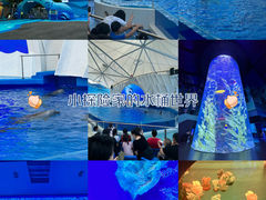 -广州海洋馆