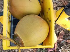 -湛山花园酒店-自助餐厅