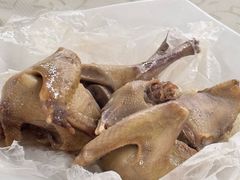 -百利鸽王(紫薇路店)