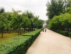 -上美四季动物农场