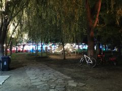 -长白岛森林公园