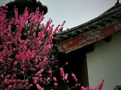 -团结湖公园