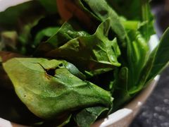-京炭铜锅涮肉·羊蝎子·羊肉炉(保利·时光里店)