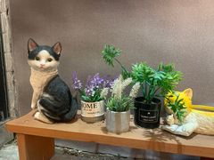 -袖虎猫馆(十亩地店)