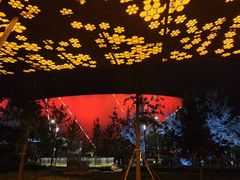 -郑州大剧院