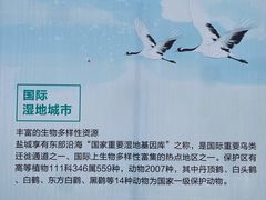 -盐城丹顶鹤湿地生态旅游区