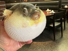 -永安鱼庄·镇江菜(东吴路店)