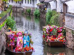 -杭州湾海上花田景区