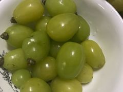 -马陆小张葡萄园农家乐