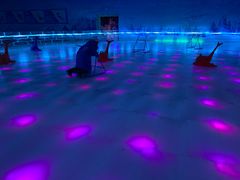 -宁波冰雪大世界(北仑区)