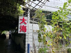 -大海别墅民宿农家院(十渡店)