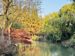 -上海醉白池公园