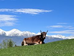 -新疆那拉提国家旅游度假区