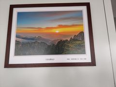 -天津医科大学肿瘤医院(本部院区)