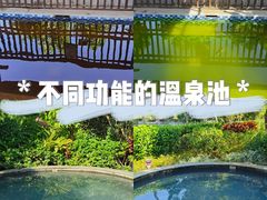 -林丰温泉度假山庄