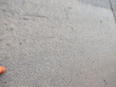 -大碗先生(万家丽店)