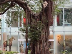 -九龙公园