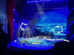 -水秀国际大剧院