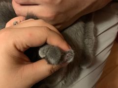 -北京博爱动物医院有限公司