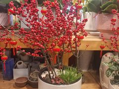 -双季花艺园艺市场(浦东店)