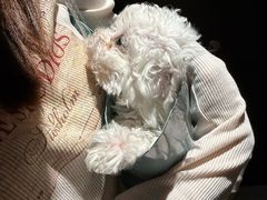 -瑞鹏宠物医院·普外科·影像科·皮肤科(城市山谷分院)