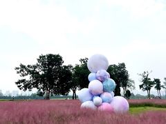 -汉长安城未央宫国家考古遗址公园