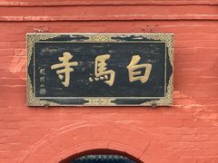 -洛阳白马寺
