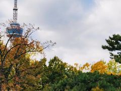 -韩国利尔面包(桂林路店)