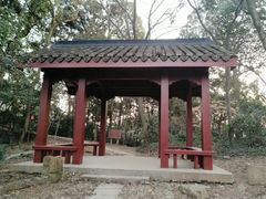 -西湖风景区十里琅珰-五云山