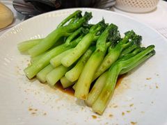 -金粤九号(李公堤店)