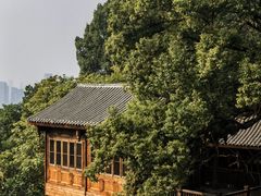 -南山植物园