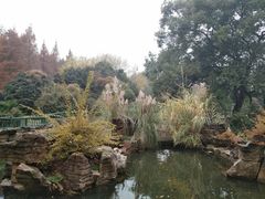 -东湖落雁景区
