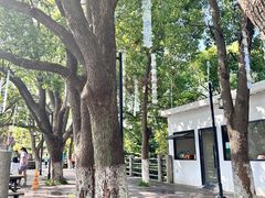 -白马涧龙池景区